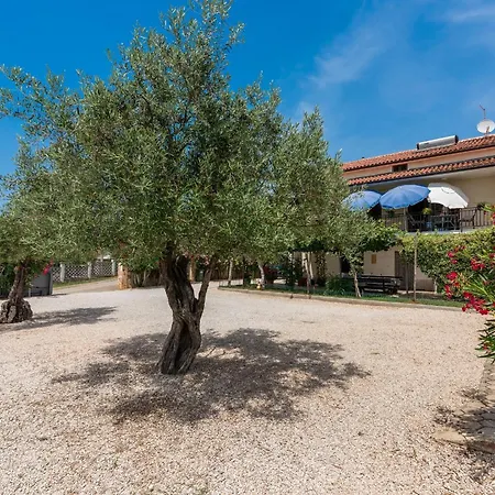 Apartment Casa Jelena With Shared Pool